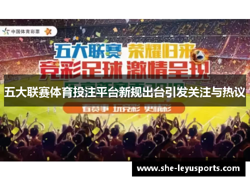 五大联赛体育投注平台新规出台引发关注与热议